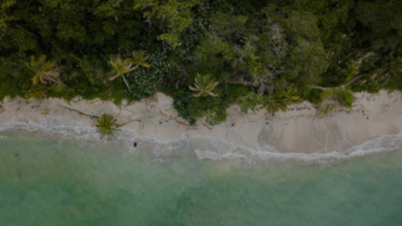 Costa Rica coastline from above